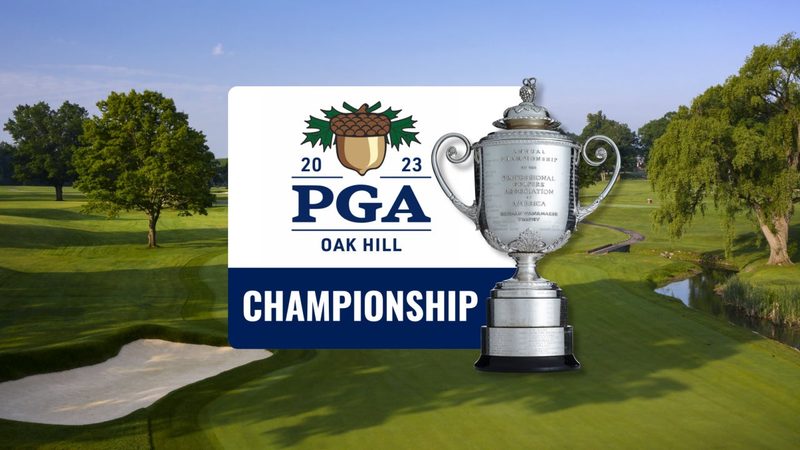 老房改造民宿隔音，这些技巧你不可不知